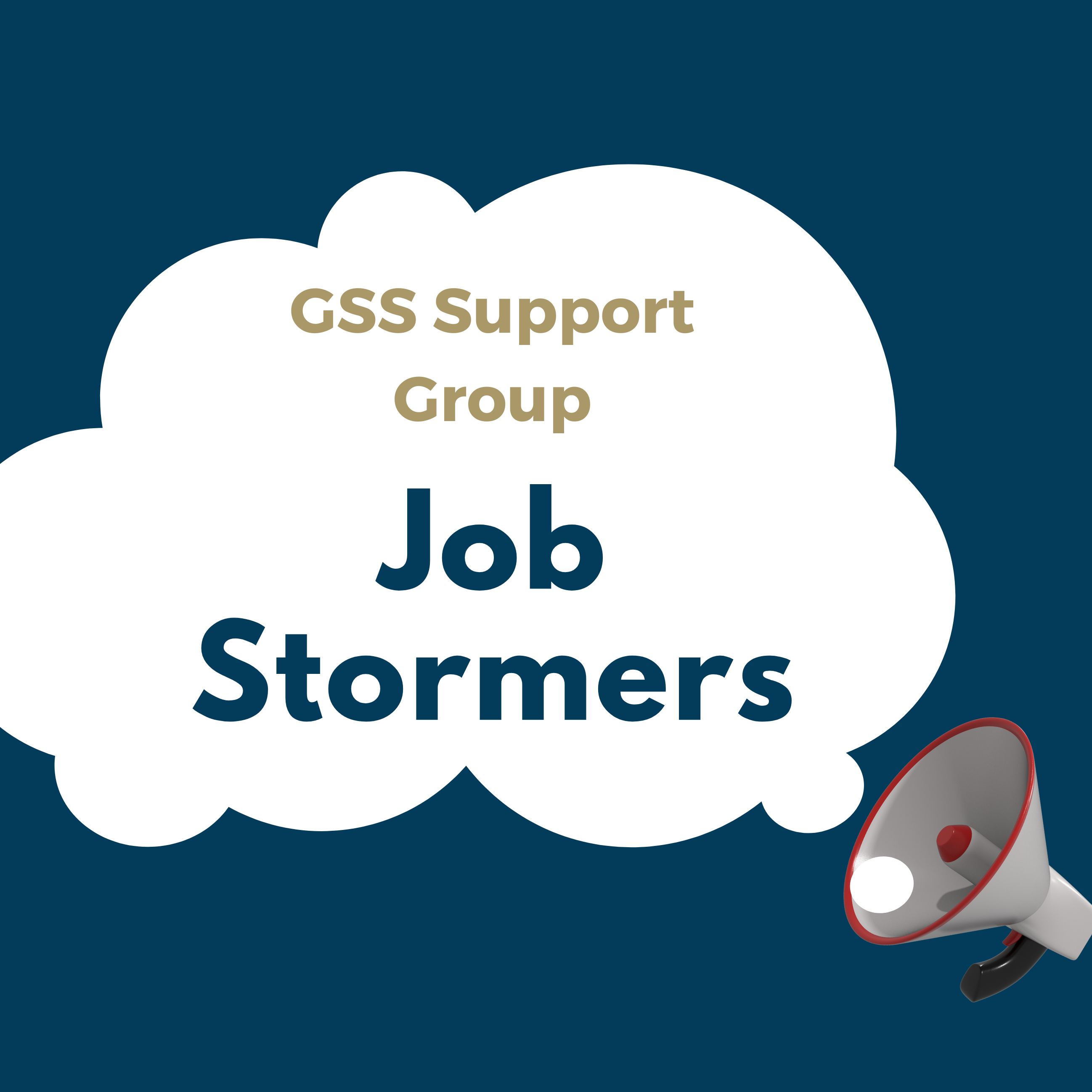 Job Stormers Logo