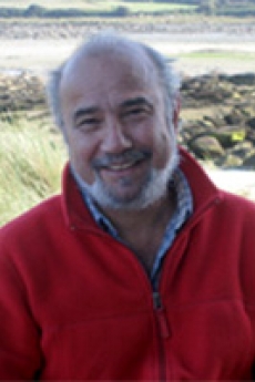 Headshot of Hossein Askari