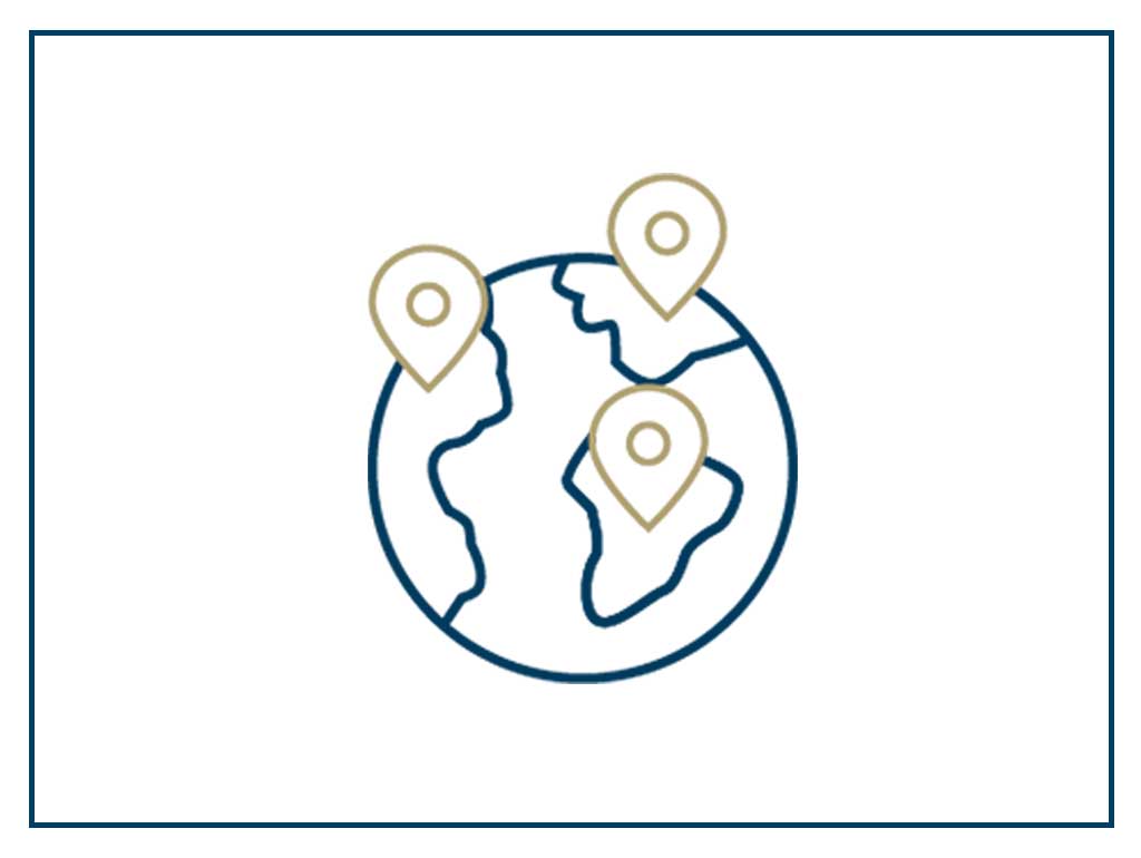 icon: globe with location icons on it