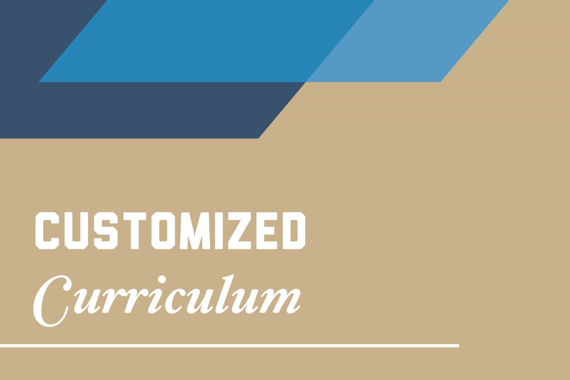 Customized curriculum