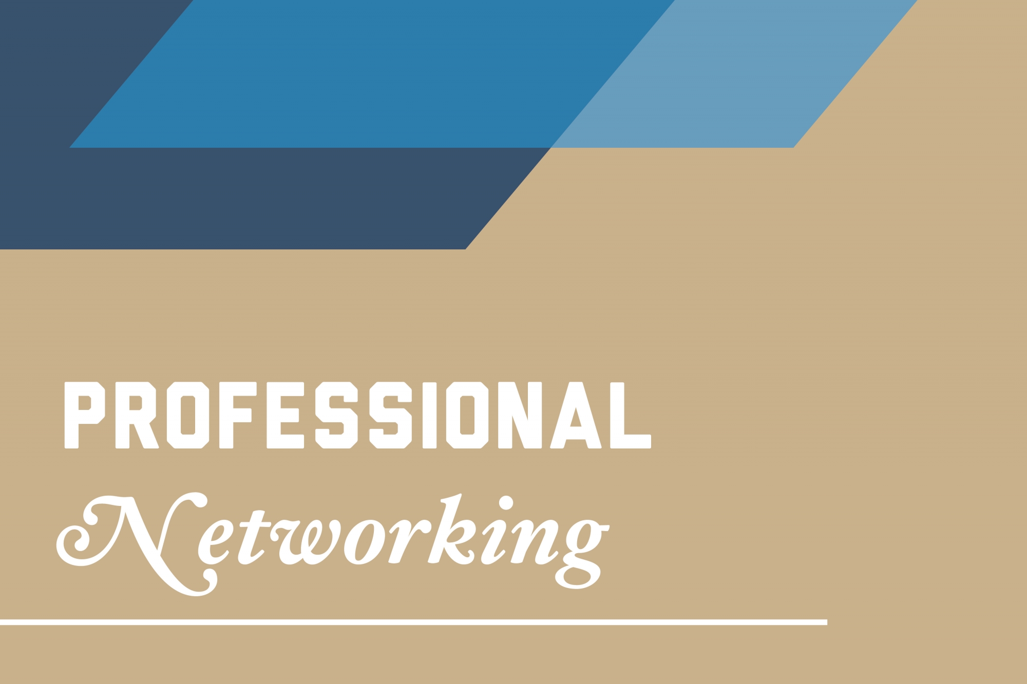 professional networking