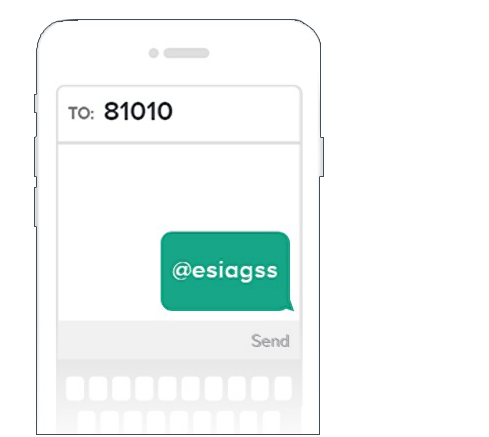 A cell phone with &quot;to: 81010, message: @esiagss&quot; written on the screen