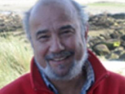 Headshot of Hossein Askari