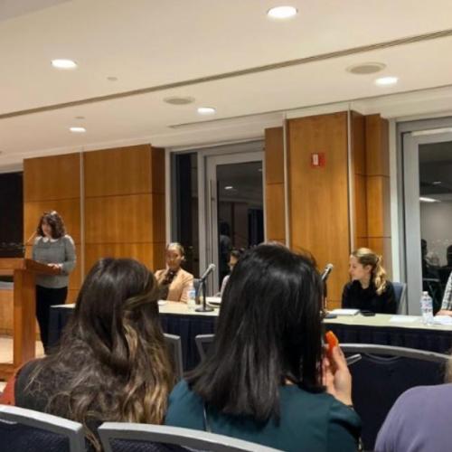 International Development Career Panel.